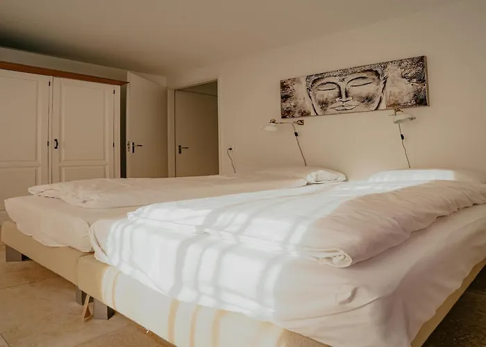 In Near The Appartement *